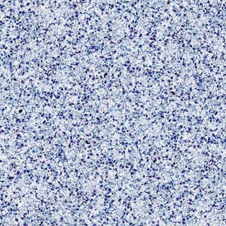 LASTRA 481 BLUE DREAM, 60X60 CM