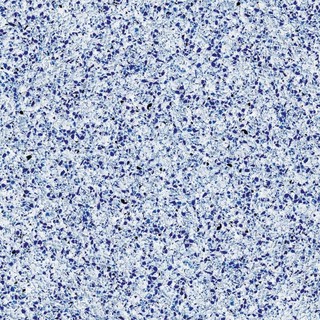 LASTRA 481 BLUE DREAM, 60X29.85 CM