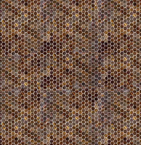 COLORE 270, ESAG, 29.4 X 28.8 CM, PLUS