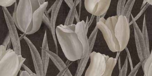 DECORANDUM FLOS
