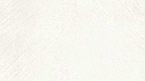 SEGNI GESSO