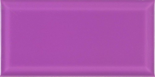 B-10 VIOLETA