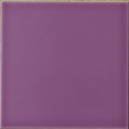 SIGMA VIOLETA