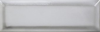 SILVER BEVEL