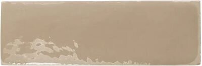 REBELS TOPO GLOSS