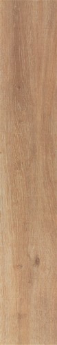 20X120 ALDER BEIGE GLZ.PORC.TILE