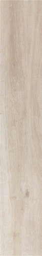 20X120 ALDER BIANCO GLZ.PORC.TILE