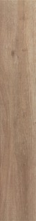 20X120 ALDER NATURA GLZ.PORC.TILE