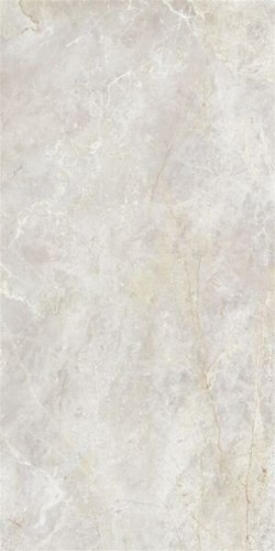 60X120 AMAZON POLISHED BONE REC GL POR