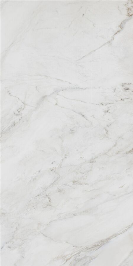 60X120 ANDERSON WHITE POLISHED REC POR TILE