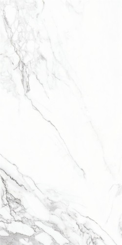 60X120 ETERNAL WHITE POLISHED REC POR TILE