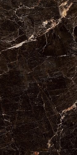 60X120 JAVA BROWN POLISHED RC.PR.TL