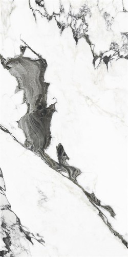 60X120 PANDA MARBLE WHITE POLISHED REC GL POR TL