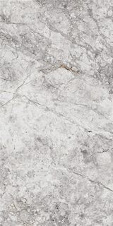 60X120 NATRON GREY LAPPATO RECT.POR.TILE