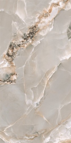 60X120 OMNIA SAGE POLISHED REC POR TL