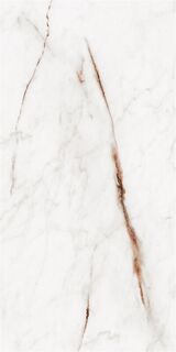 60X120 OSSO BEIGE POLISHED REC.POR.TILE