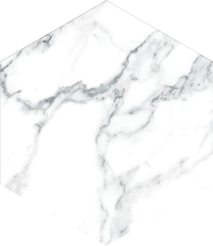 21.5X25 SWAN WHITE GLAZED PORCELAIN TILE