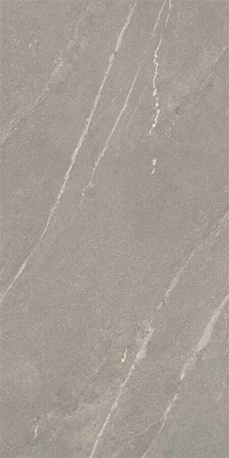 60X120 TIGER MATTE GREY RECT POR TILE