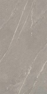 60X120 TIGER MATTE GREY RECT POR TILE